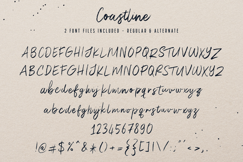 Coastline - Textured Script Font