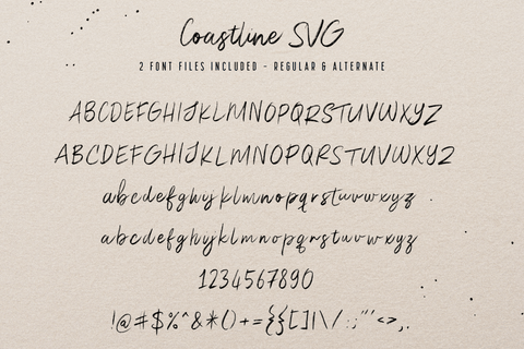 Coastline - Textured Script Font