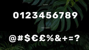 Cunia - Free Font - Pixel Surplus