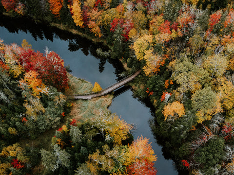 Fall Hiking Trail Over Stream - Free Stock Photo