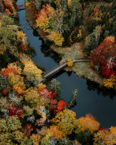 Fall Foliage Stream - Free Stock Photo