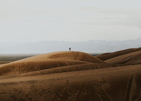 Top of the Dune - Free Stock Photo