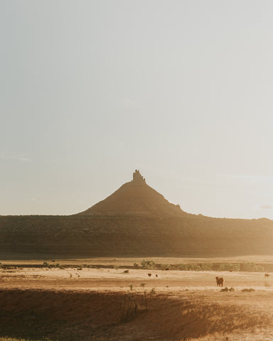 Dune - Free Stock Photo