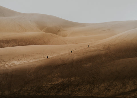 Dune Hike - Free Stock Photo