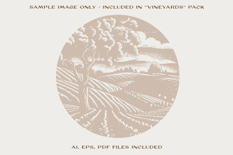 Vineyards - Engraving Style Illustrations