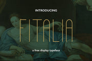 Fitalia - Free Font - Pixel Surplus