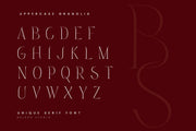 Granolia - Classy & Unique Serif Font