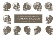 Human Skulls - Engraving Style Illustrations