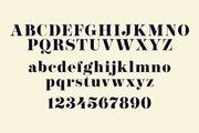 Josefine - Elegant Serif Font