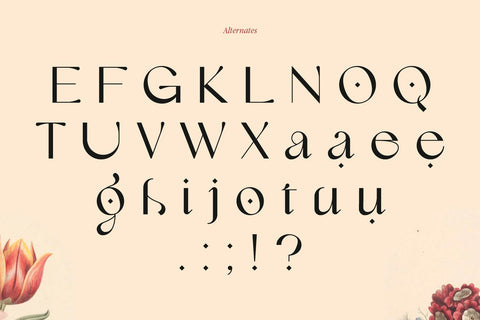 Lilyane - Lovely Elegant Font