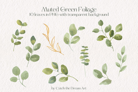 Free Muted Green Eucalyptus Watercolor Foliage Illustrations