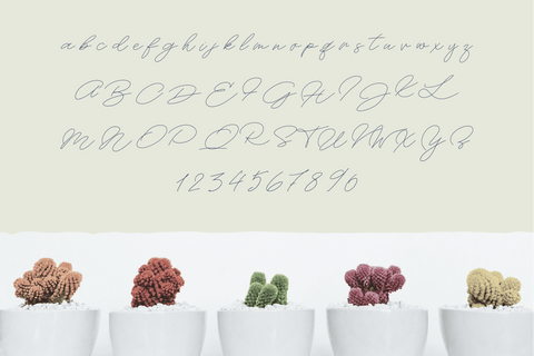 Prestyn - Monoline Script Font