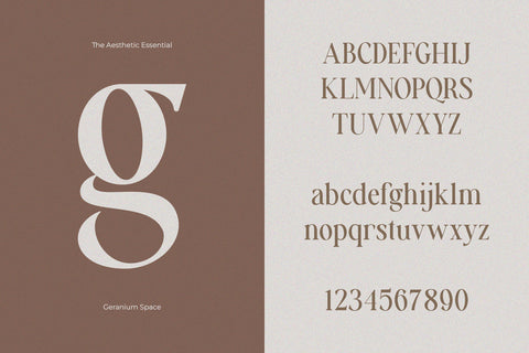 The Aesthetic Essential - Modern Serif Font