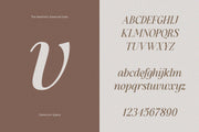 The Aesthetic Essential - Modern Serif Font