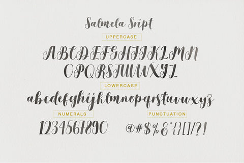 Salmela - Free Calligraphy Font - Pixel Surplus