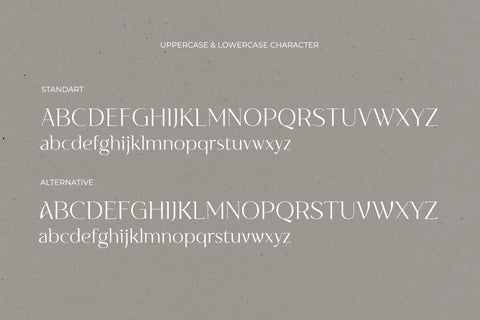 NT Vanilla - Classic Semi-Serif Typeface