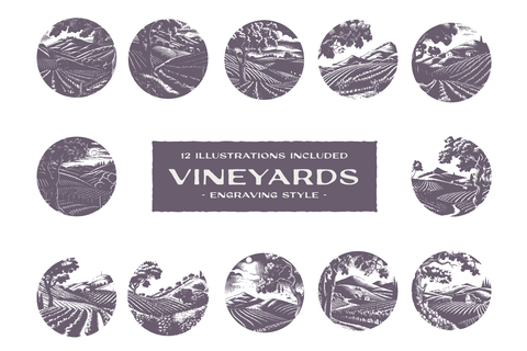 Vineyards - Engraving Style Illustrations