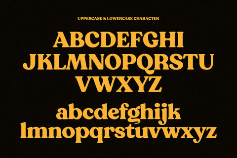 NT Wagner - Soft Retro Serif Font