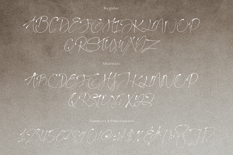 Weightless - Thin Signature Script Font