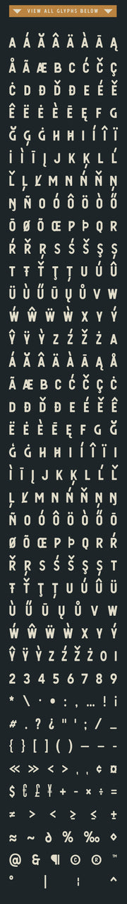 Berringer - Vintage Sans Serif Font