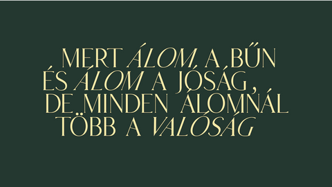 Naibo - Display Serif Font