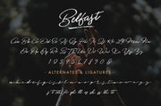 Belfast - Dry Brush Script Font