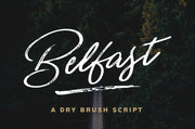 Belfast - Dry Brush Script Font