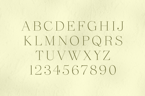 Revaux - Elegant Serif Font