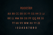 Rochester - with 46 Ligatures