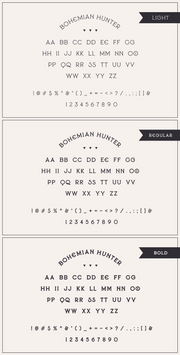 Bohemian Hunter - Contemporary Display Serif