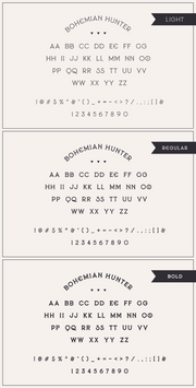 Bohemian Hunter - Contemporary Display Serif - Pixel Surplus