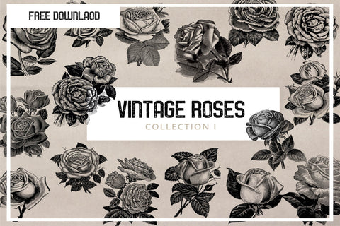 Free Vintage Rose & Flower Illustrations