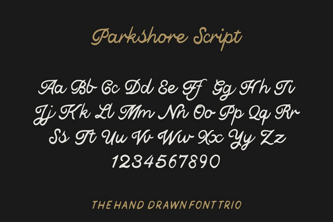 SALE | The Parkshore Font Collection