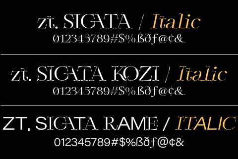 ZT Sigata - Combo Display Typeface