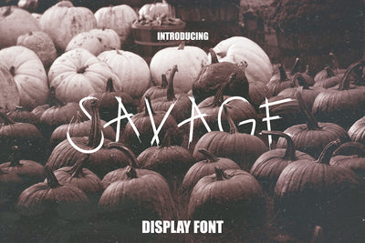 Savage - Free Display Font - Pixel Surplus